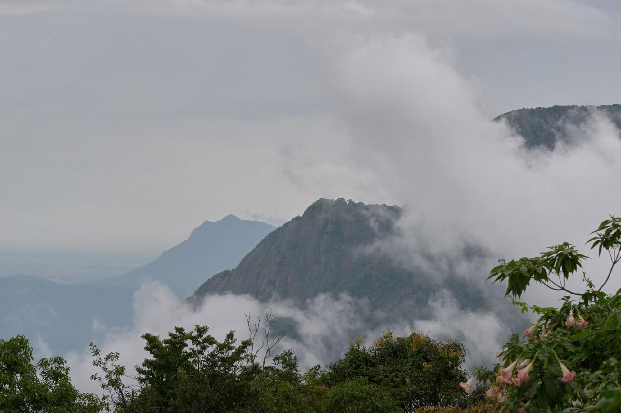 De Rock Jungle Living Resort Coonoor Exterior photo