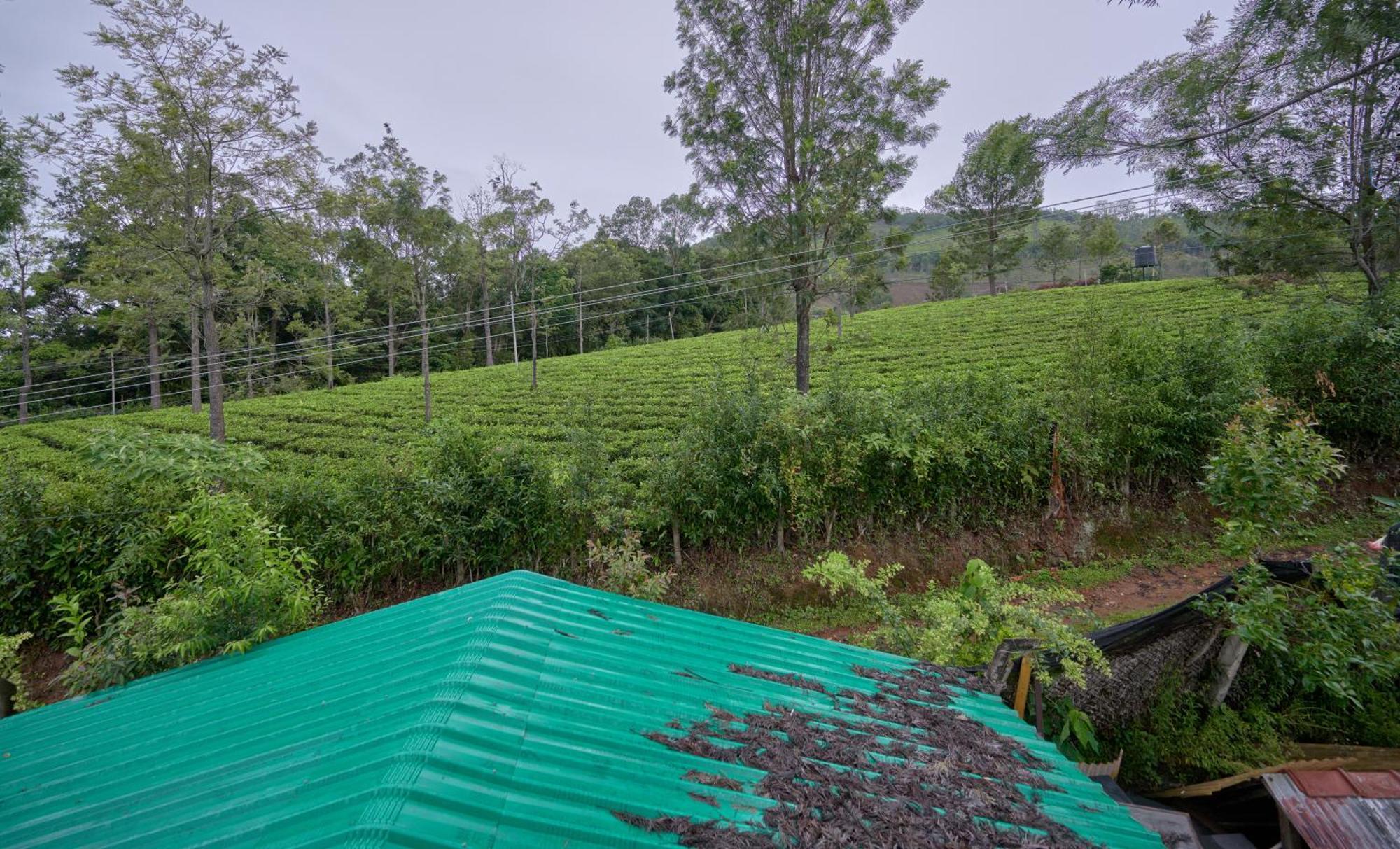 De Rock Jungle Living Resort Coonoor Exterior photo
